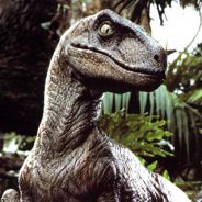 Mister Raptor - steam id 76561197970284976