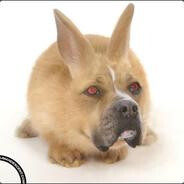 Norwesski's avatar