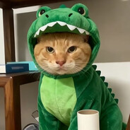 帝国猛虎^圆头耄