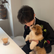 秒倒是我的谎言