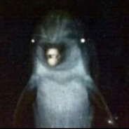 Scary Dolphin