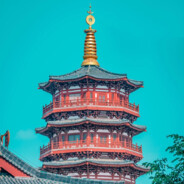 不负如来不负卿