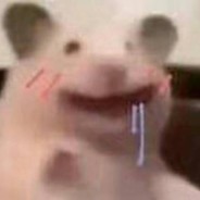 爱吃德芙的乔治