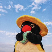 校园网比我粉都卡