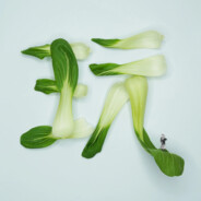 柒雲 ٩(￣▽￣)۶∠※