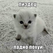 Фрикадельки avatar