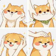 送你的花我扔了