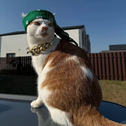 ★С̶J̶l̶ю̶H̶и̶  ✔