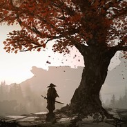 三岁少年想打职业