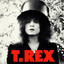 TheSlider