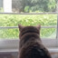 i am watching