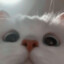 00o00