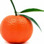 Mandarina