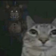 𝙼4𝚗𝚒3𝚔