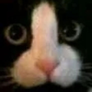 最も煩ぃは装βの人