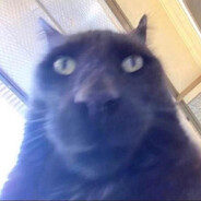 Отчимус Прайм