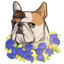 Bulldog in Flowers