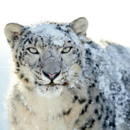 她说她是第一次