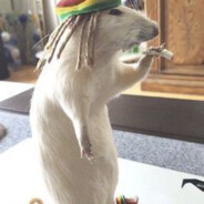 丂ㄒ丨卂卂 - steam id 76561199157350868