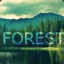 Forest *Sayijanin*