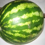 SandiaGCricobal