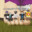 Dav.zip avatar