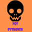 pyth0NER
