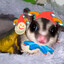 balashino