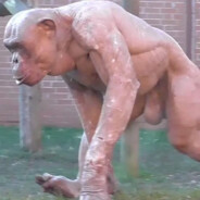 nakedchimp1