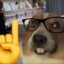 [KWR] NerdDog