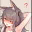 wcjaa2