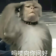 花果山在逃马喽