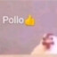 Pollo 👍