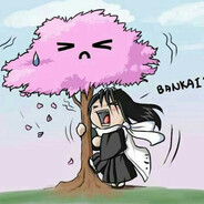 bankai0