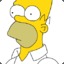 HOMER