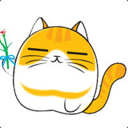 喵爷依旧