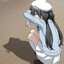 Yukino