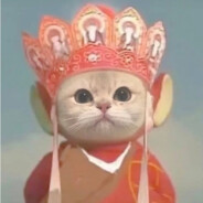 杀你的是宝宝Fun磊磊