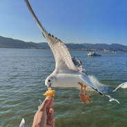 幸福我只字不提