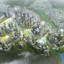 megalopolis