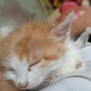 谁盗我号谁丝全家