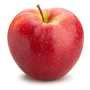 LLLLLLLLLLLLL67