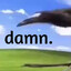 DAMN