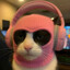CatWithHoodie