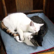 AAA 快乐批发 王总