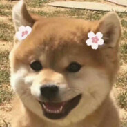 菜鸟快递 想寄就寄