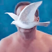 guje pjut