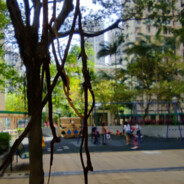 從未來再見,遺憾舊時不太會戀愛ʕ·ᴥ·ʔ