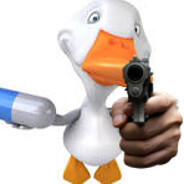 sillygoose
