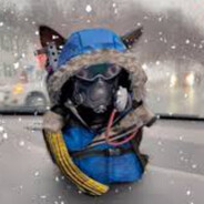 Avatar of Зимний хазик